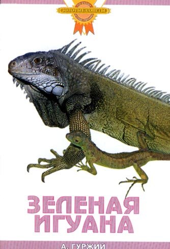 Зеленая игуана