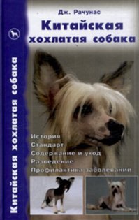 Китайская хохлатая собака. История. Стандарт. Содержание и уход.