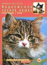 Аквар.Норвежская лесная кошка