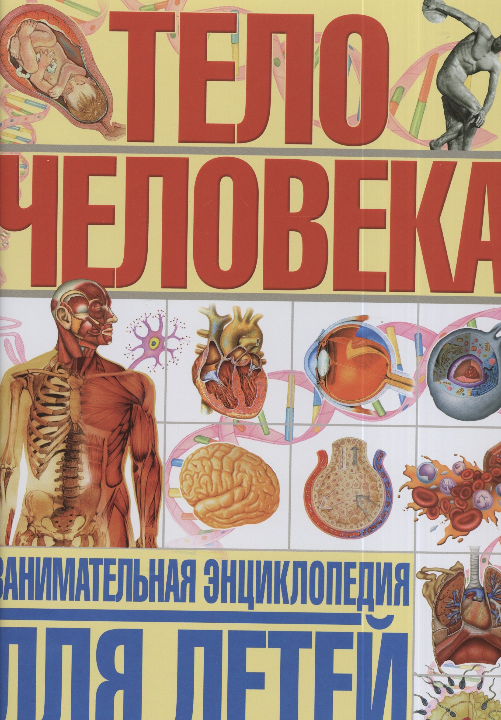 Тело человека. Занимательная энциклопедия для детей