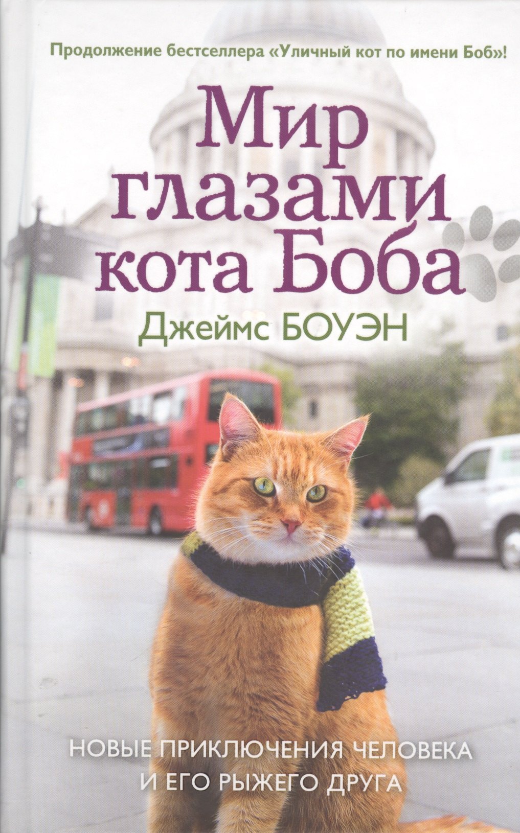 Мир глазами кота Боба. Новые приключения человека и его рыжего друга