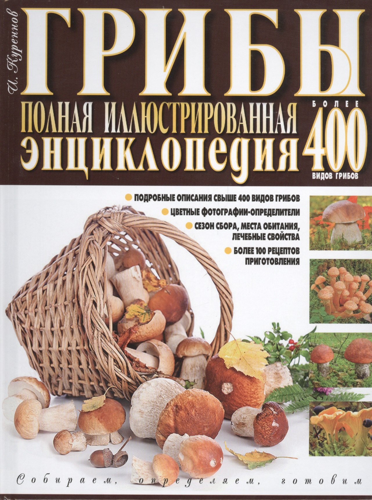 Грибы Полная илл. энциклопедия Более 400 видов грибов... (Куреннов)