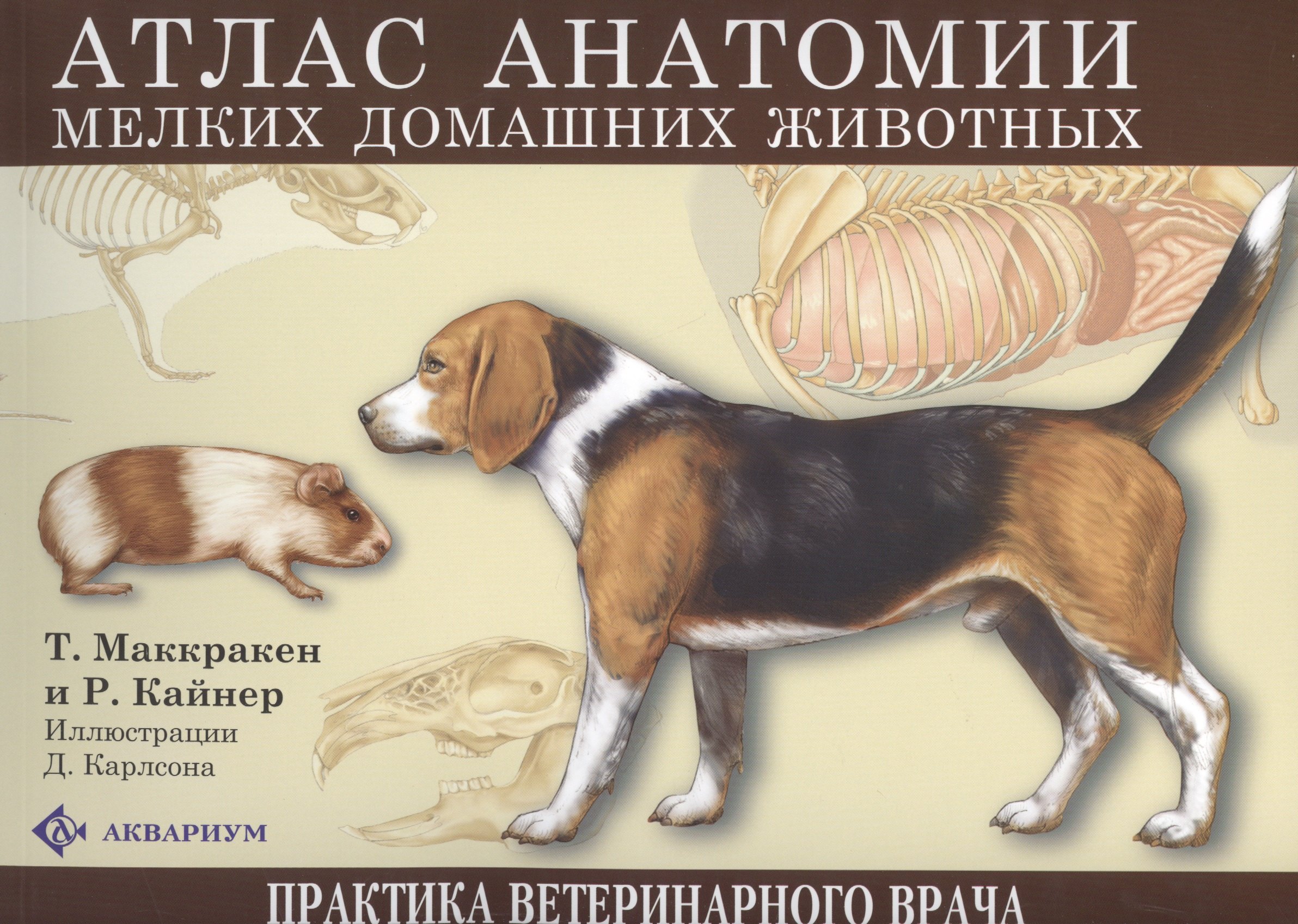 Атлас анатомии мелких домашних животных