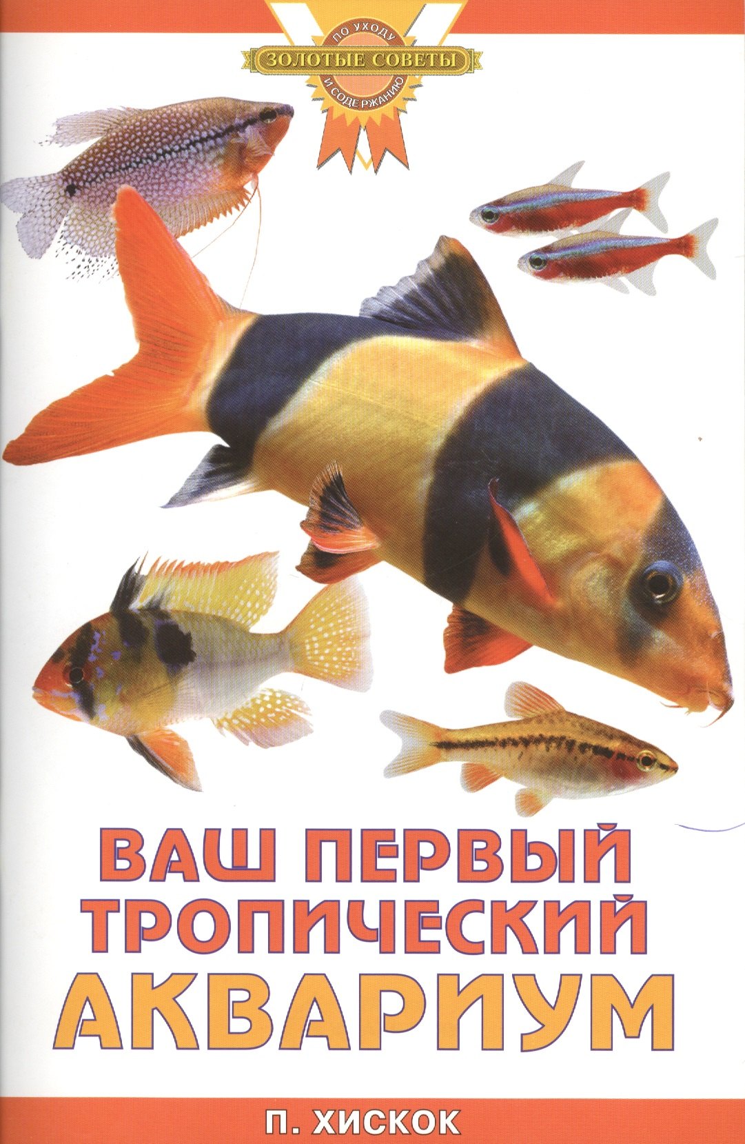 Ваш первый тропический аквариум