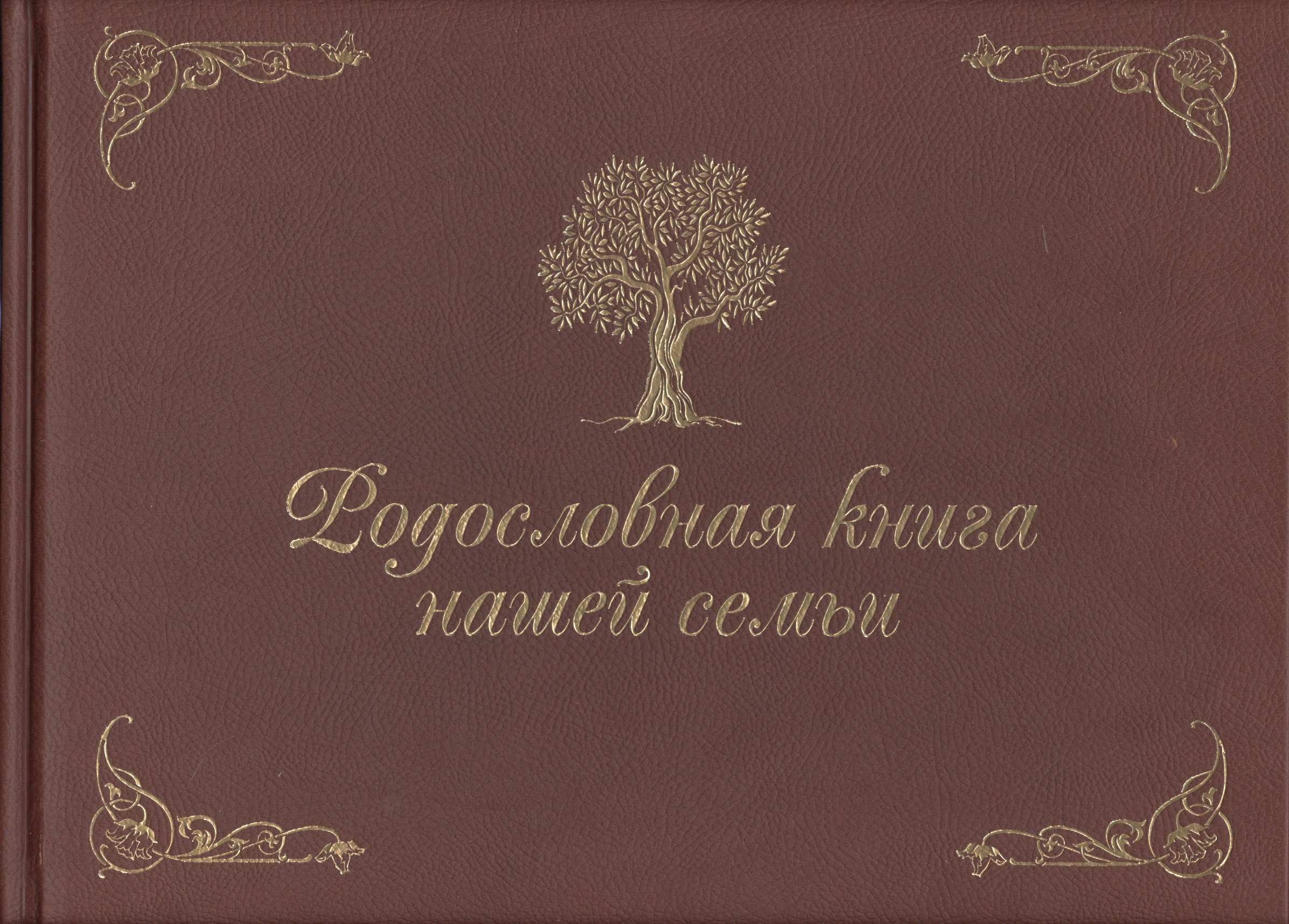 Родословная книга нашей семьи