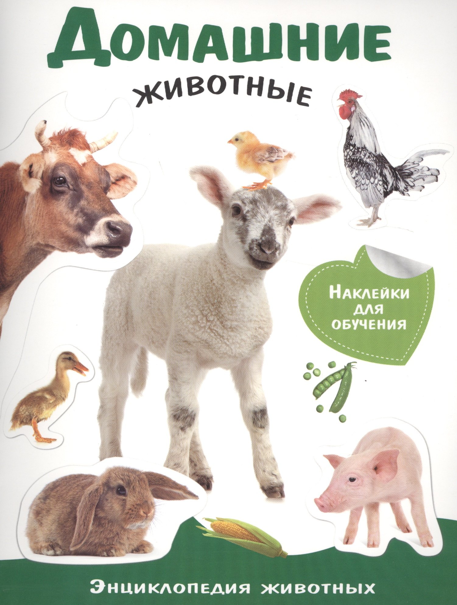 Домашние животные. Энциклопедия животных с наклейками