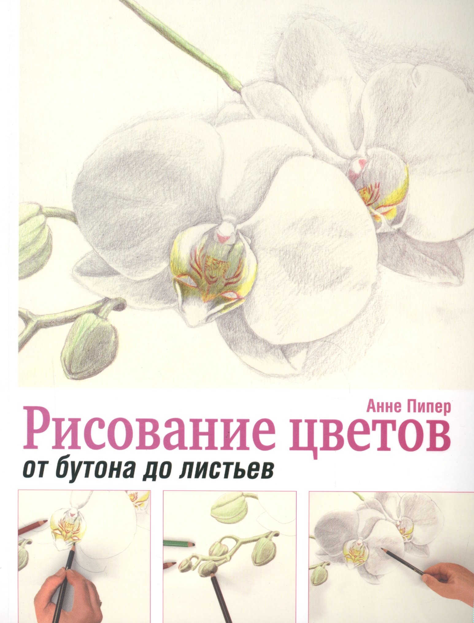 Рисование цветов от бутона до листьев