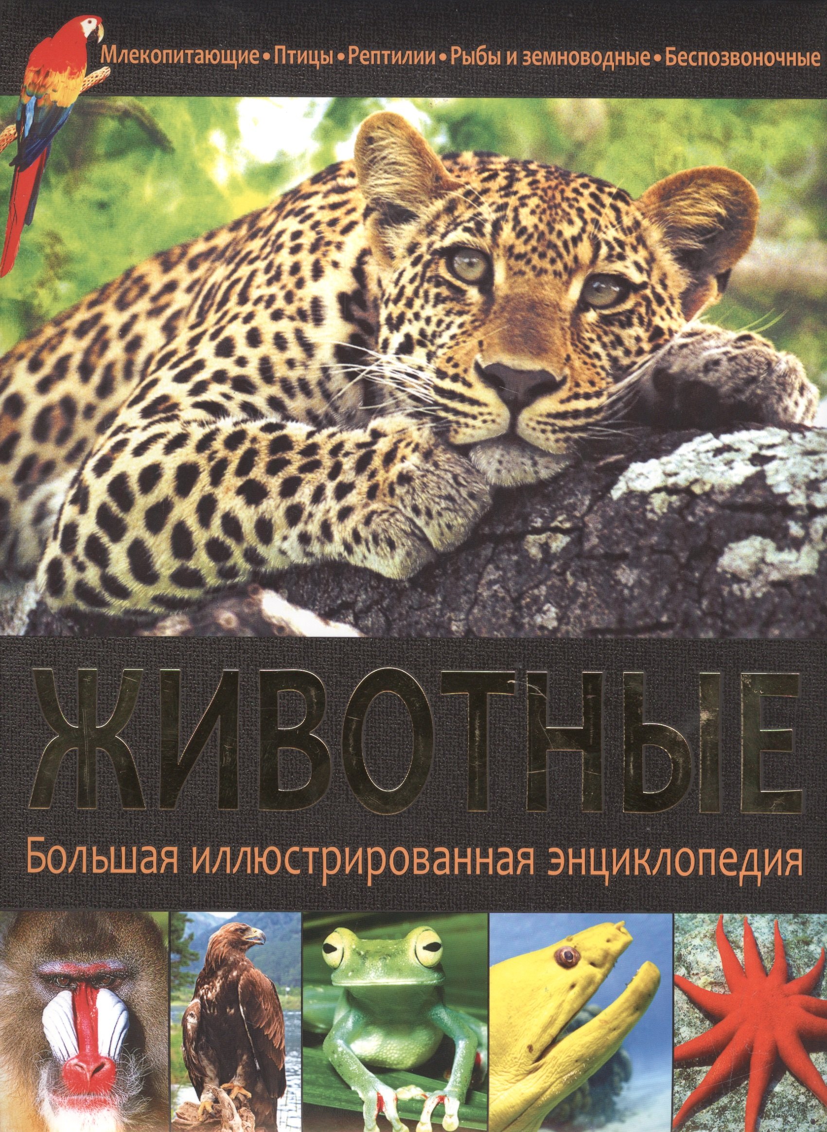 Животные