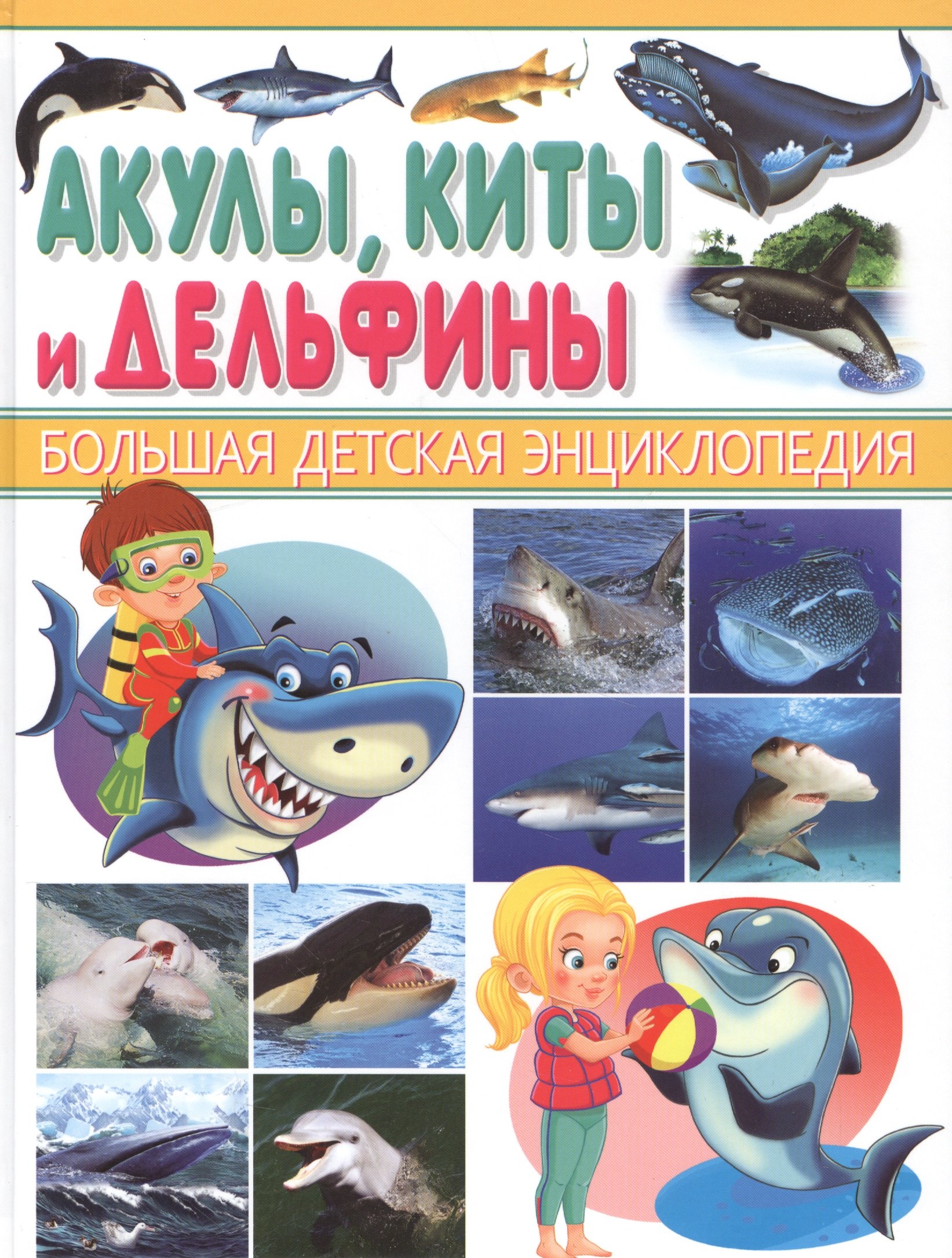 Акулы, киты и дельфины