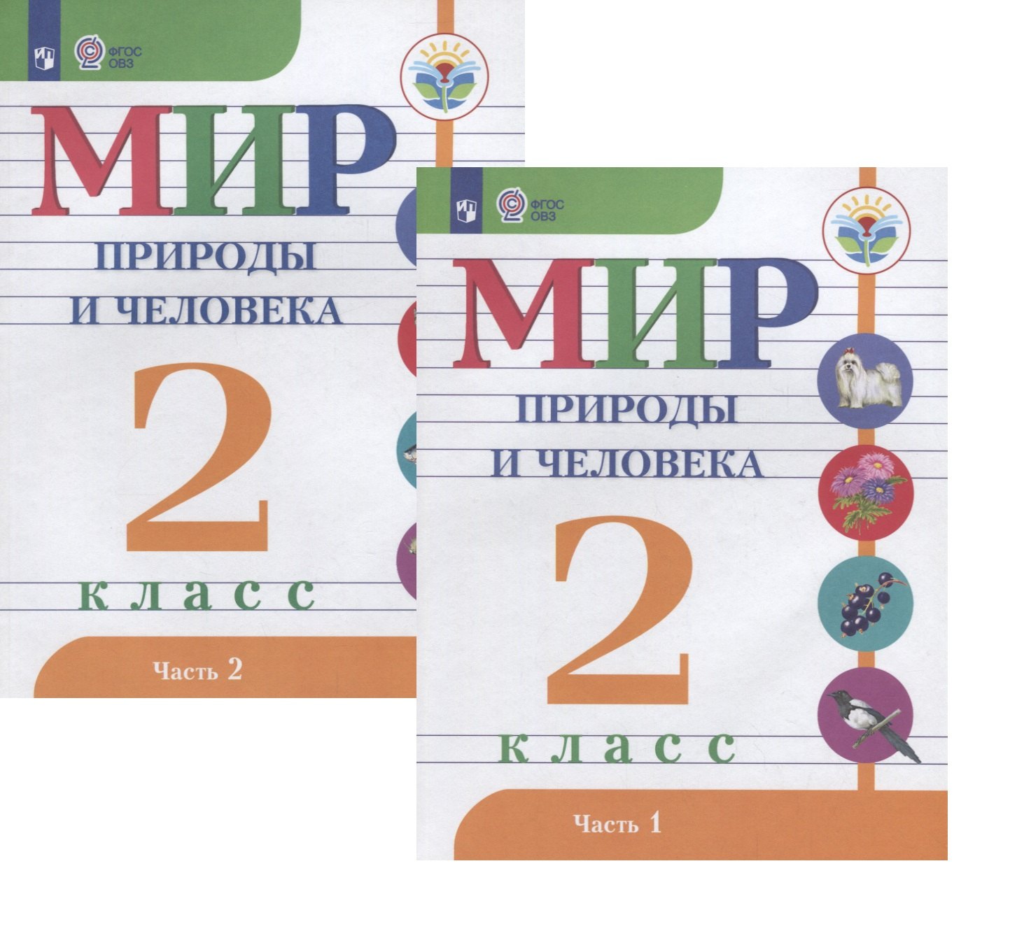 Мир природы и человека. 2 класс. В 2-х частях. Учебник для детей с интеллектуальными нарушениями (комплект из 2 книг)