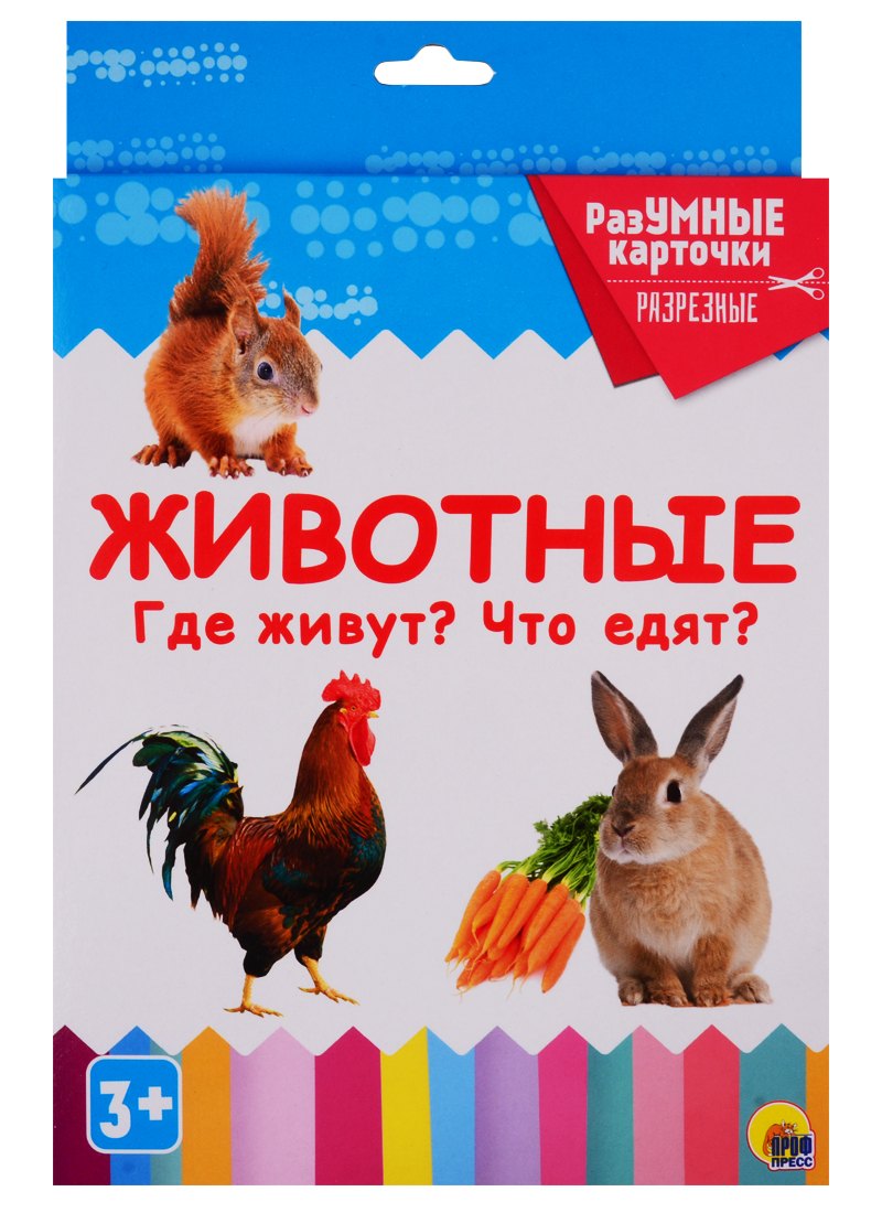 Животные. Где живут? Что едят? 20 карточек
