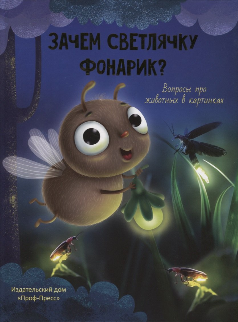 ЗАЧЕМ СВЕТЛЯЧКУ ФОНАРИК? глянц.ламин.обл, тиснение, мелов. бум. 215х290