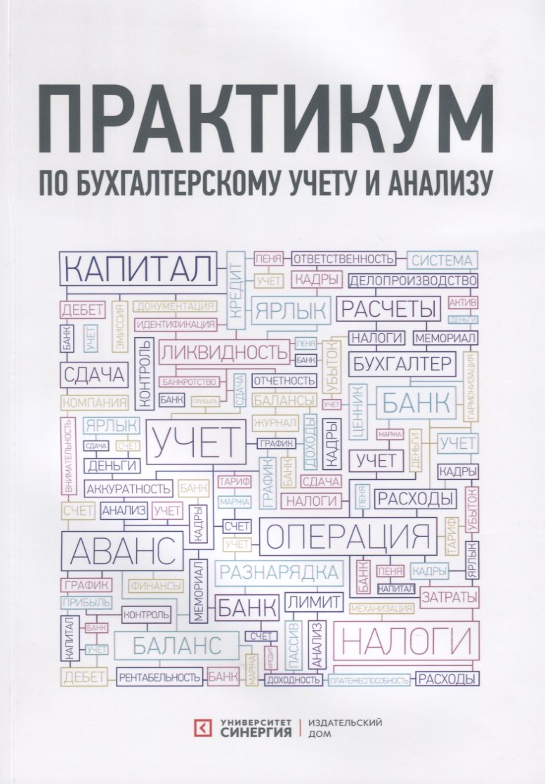Практикум по бухгалтерскому учету и анализу