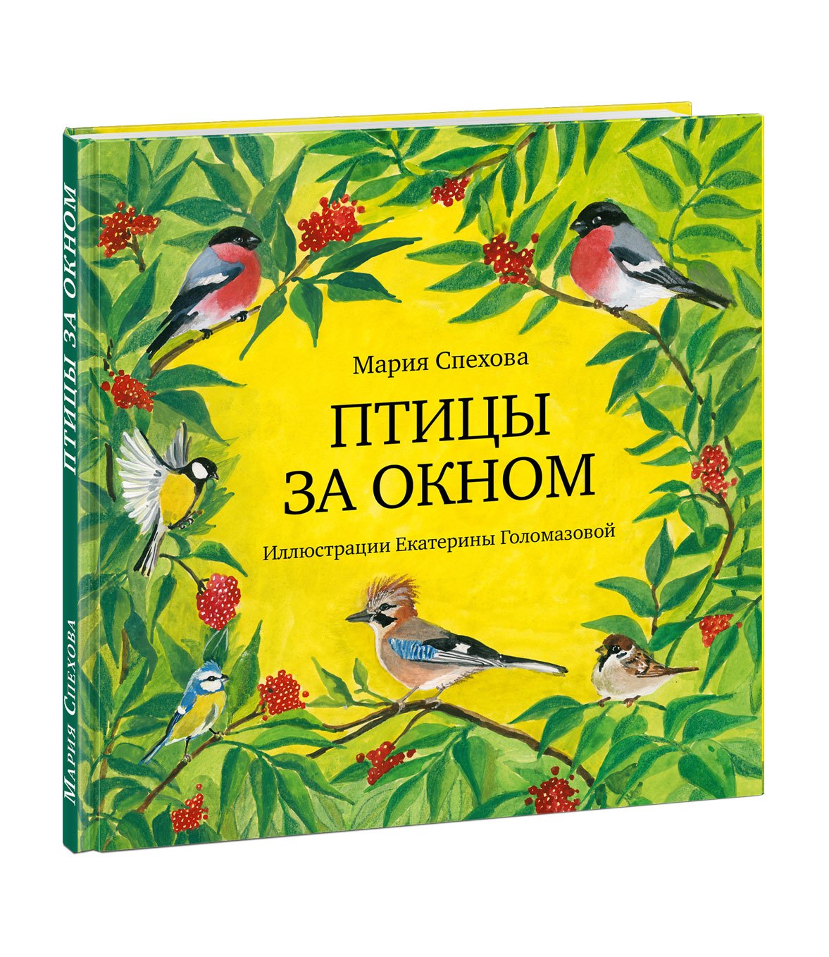 Птицы за окном. Сборник рассказов