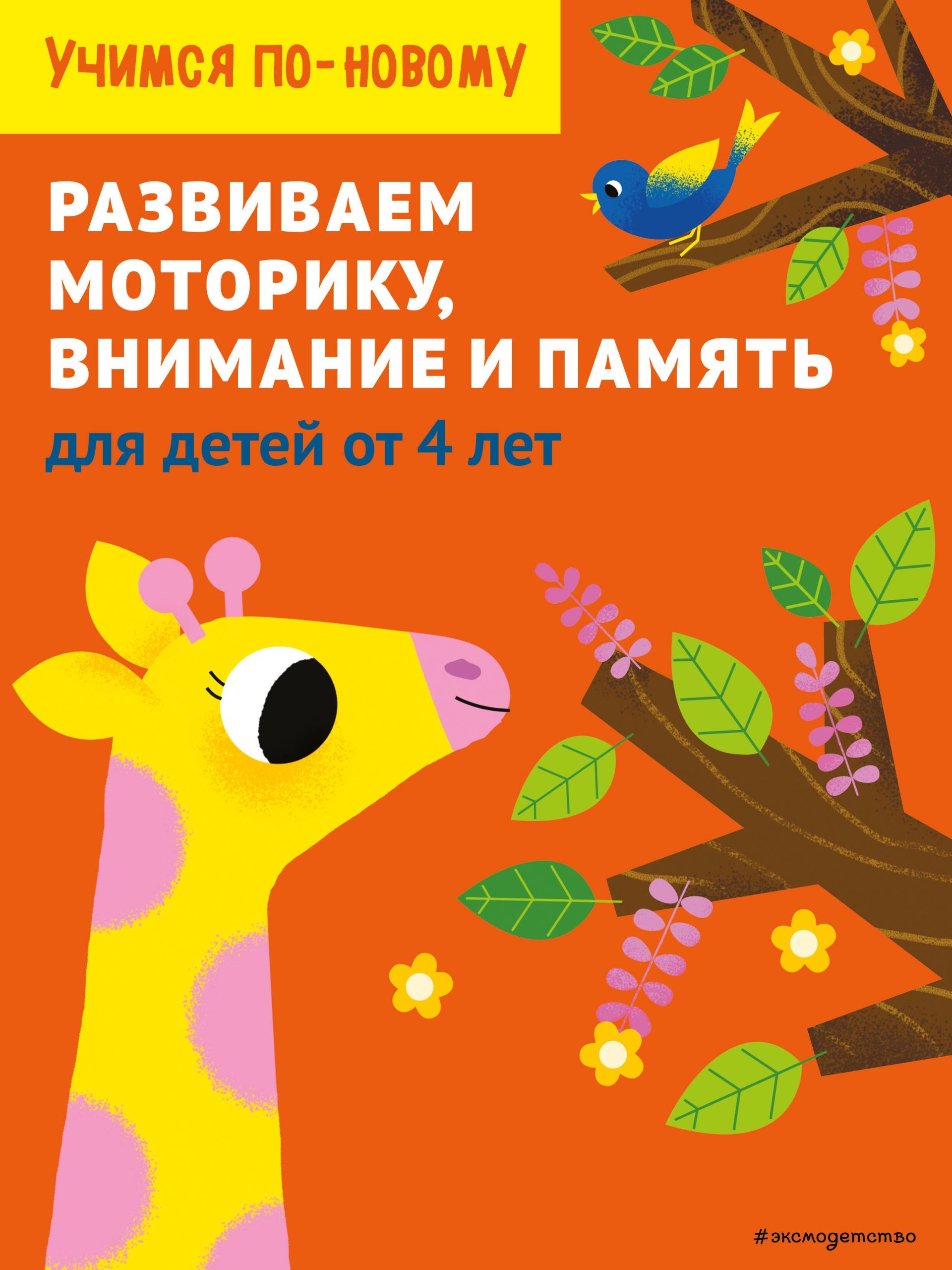 Развиваем моторику, внимание и память: для детей от 4 лет