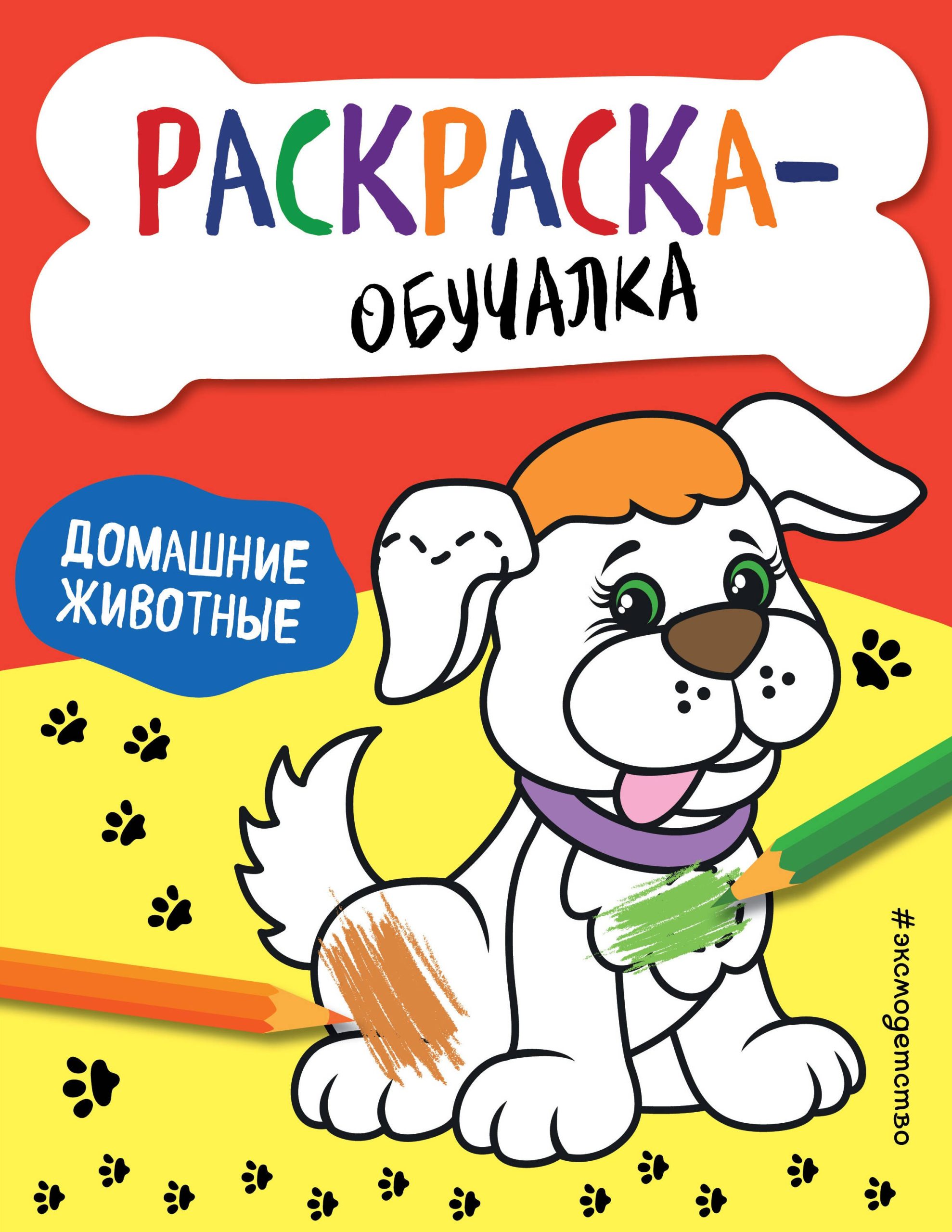 Домашние животные. Раскраска-обучалка