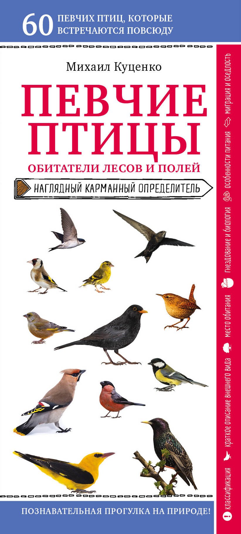 Певчие птицы. Обитатели лесов и полей. Наглядный карманный определитель