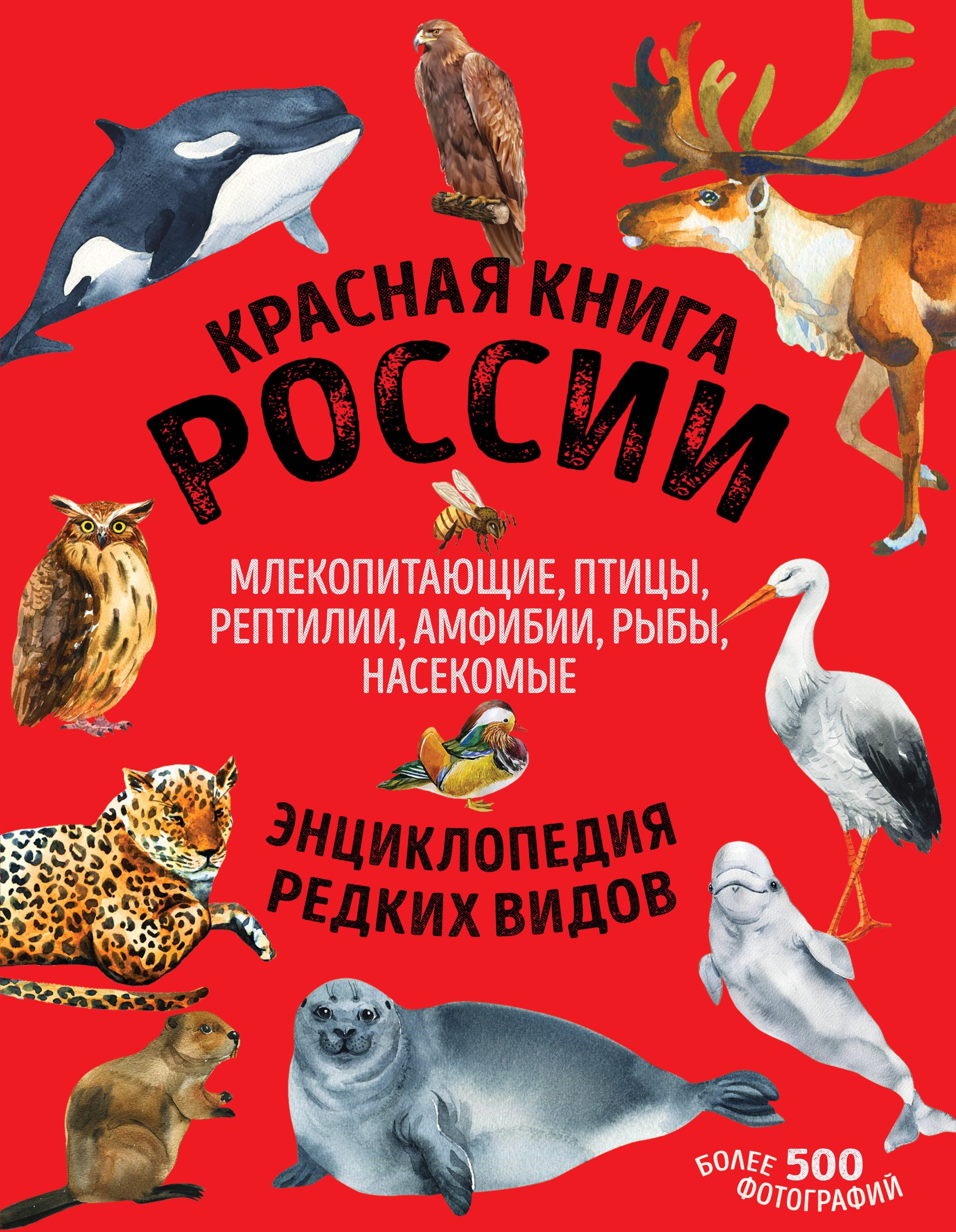 Красная книга России: животные, растения, птицы, насекомые. Энциклопедия редких видов