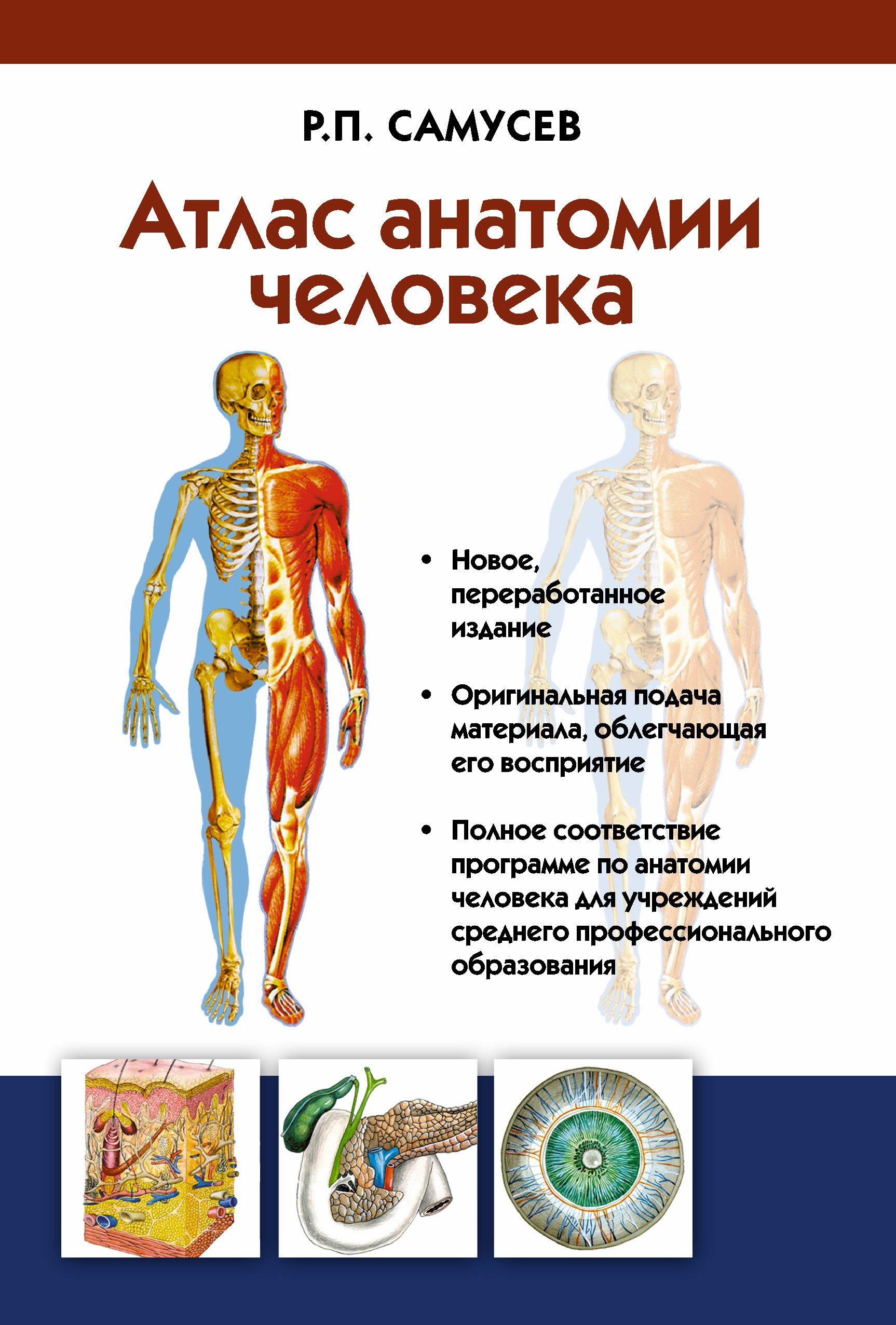 Атлас анатомии человека: учебное пособие для студентов учреждений среднего профессионального образования. 7 -е изд.
