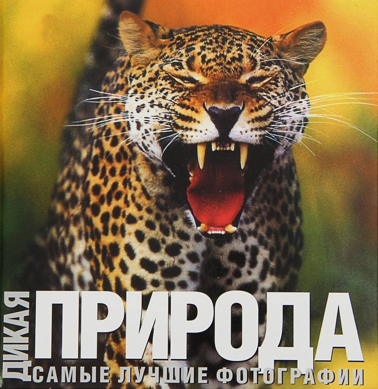 Альбом. "Дикая природа": Самые лучшие фотографии