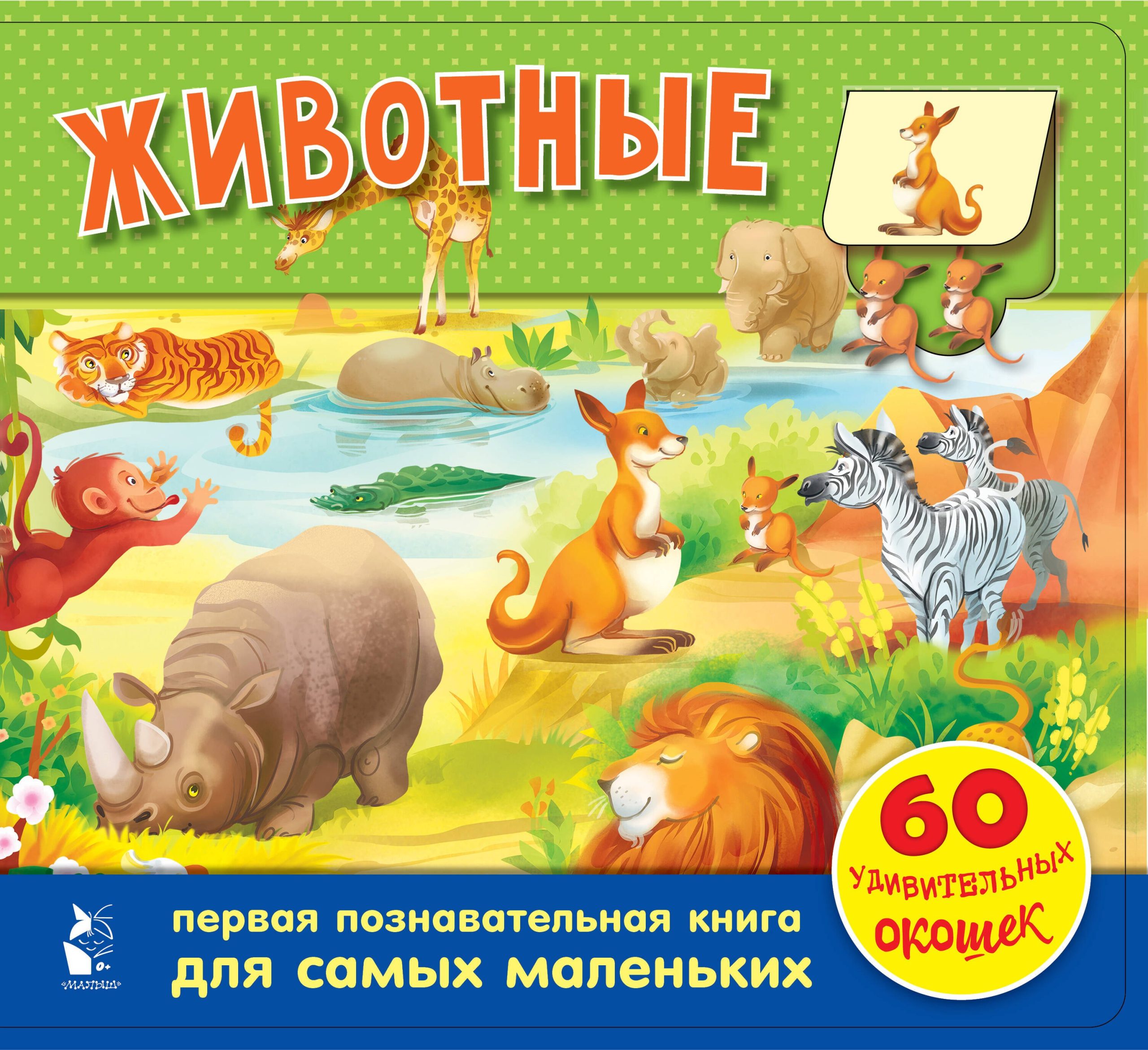 Животные. 60 удивительных окошек