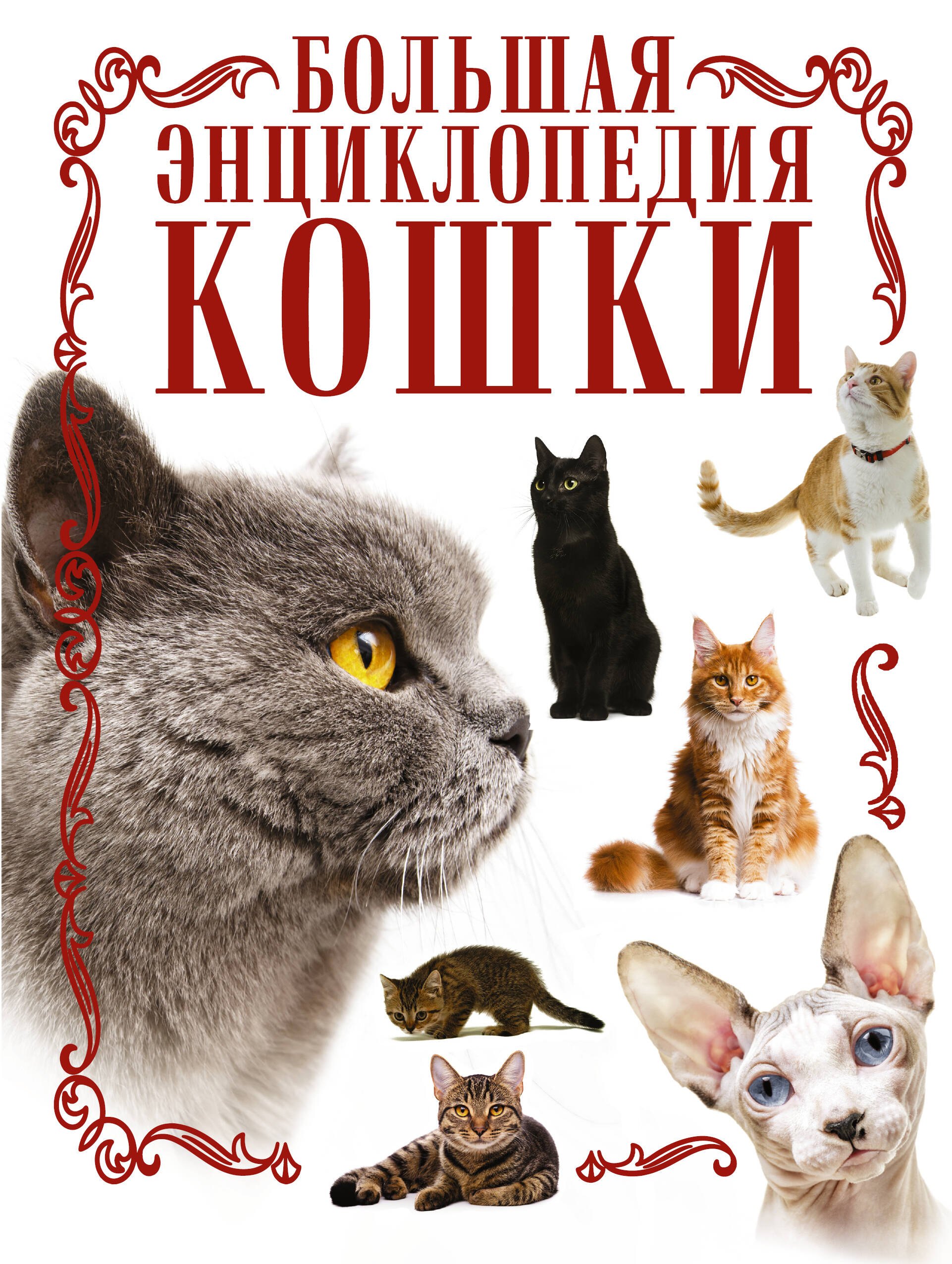 Кошки. Большая энциклопедия