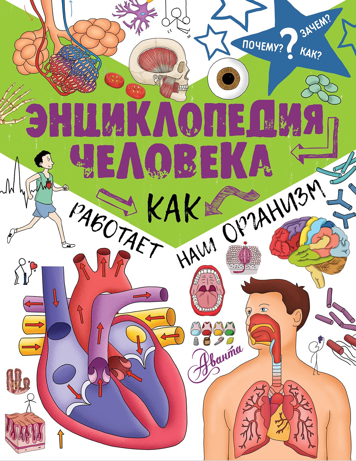 ПочемуЗачемКак? Энциклопедия человека: как работает наш организм